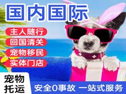 大长山机场快递国际宠物托运 【国